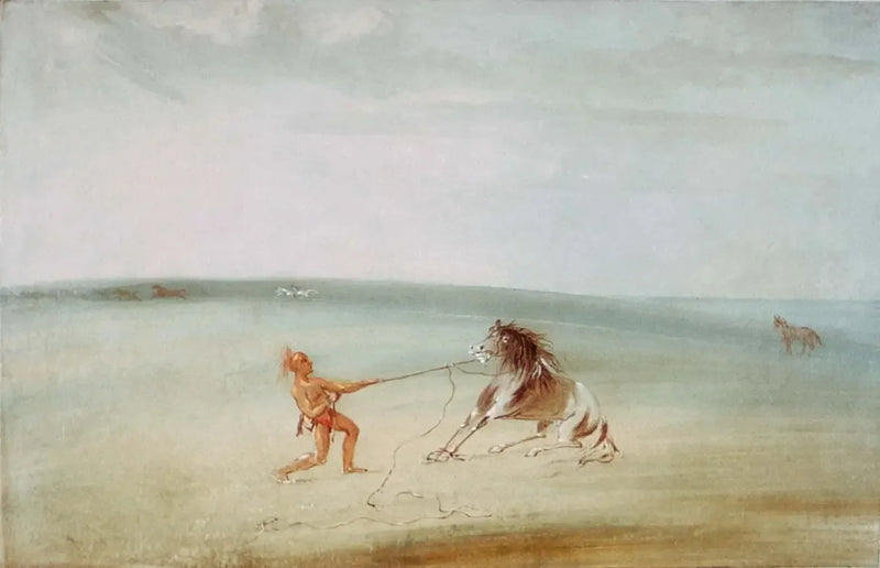 Décomposer le cavallo selvaggio - George Catlin
