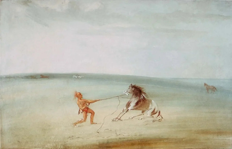 Décomposer le cavallo selvaggio - George Catlin