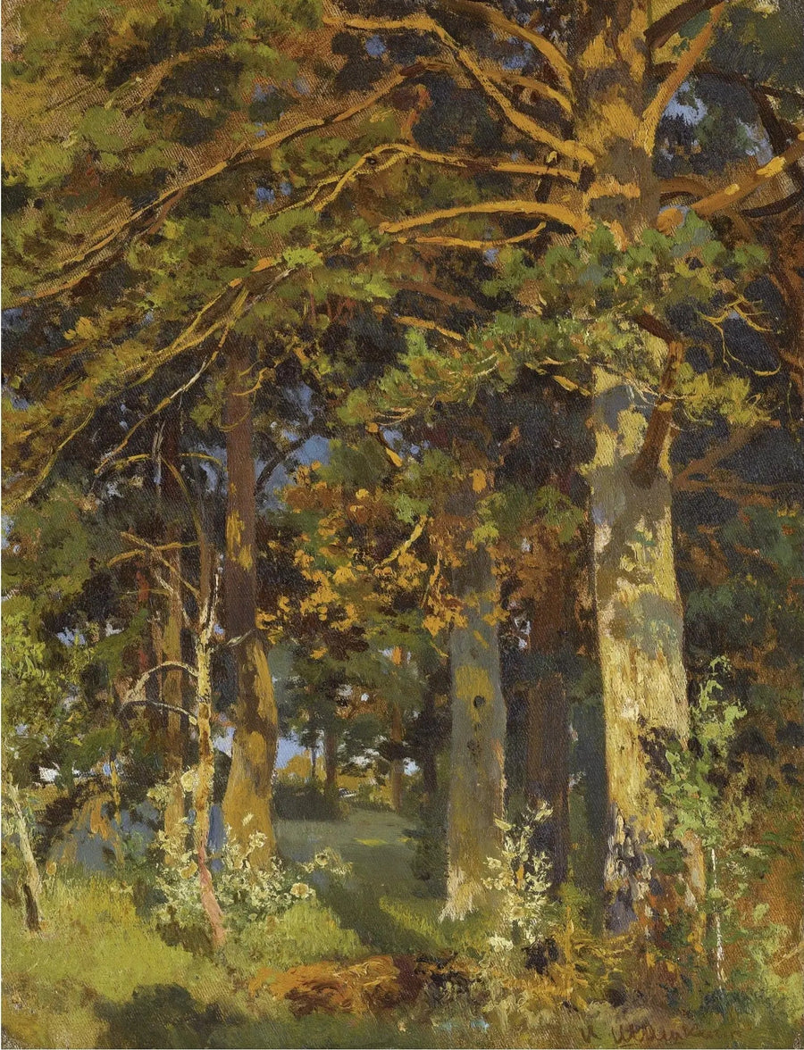 Sviluppo forestale - Ivan Chichkine
