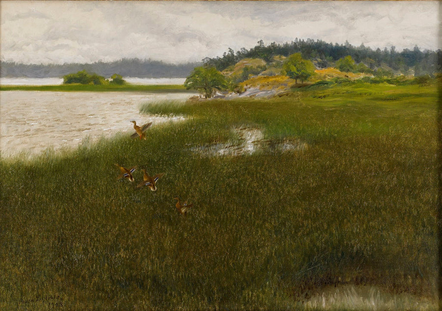 Le anatre decollano - Bruno Liljefors