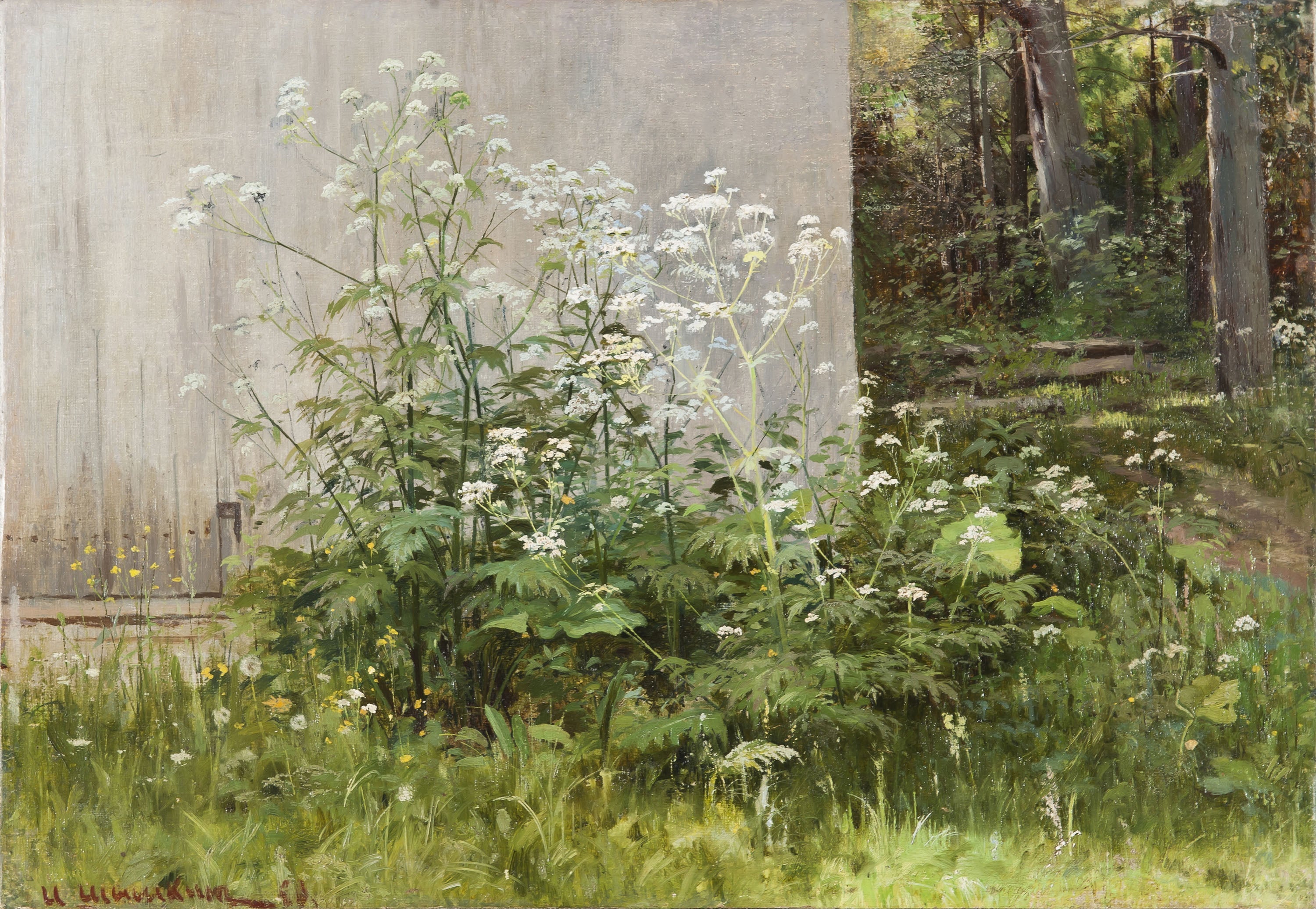 Des fleurs à la clôture - Ivan Chichkine - Alpha Reproduction