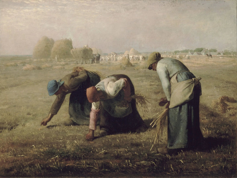 Raccoglitrici - Jean-François Millet