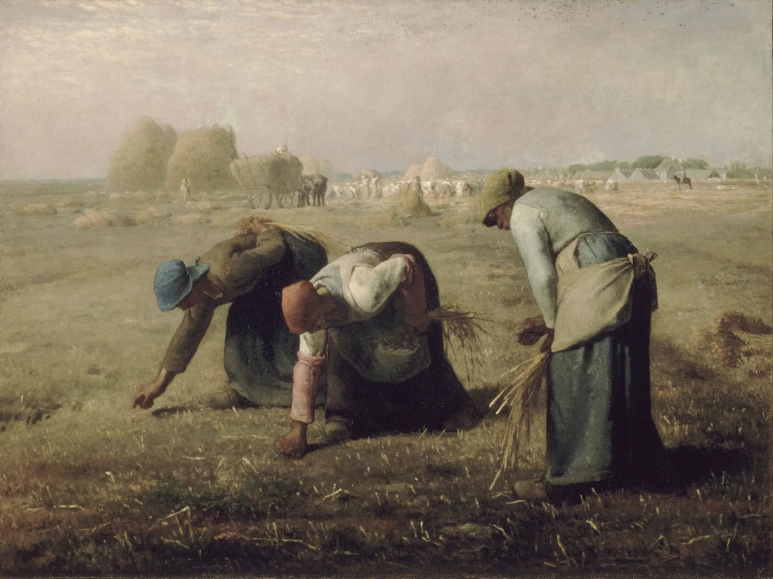 Raccoglitrici - Jean-François Millet