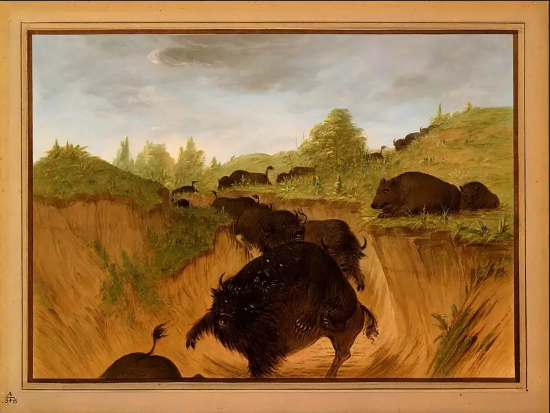 Grizzli attaccano bisonti - George Catlin