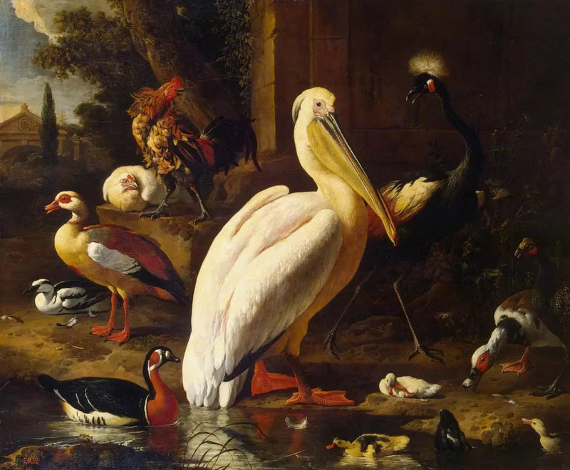 Uccelli in un parco - Melchior de Hondecoeter