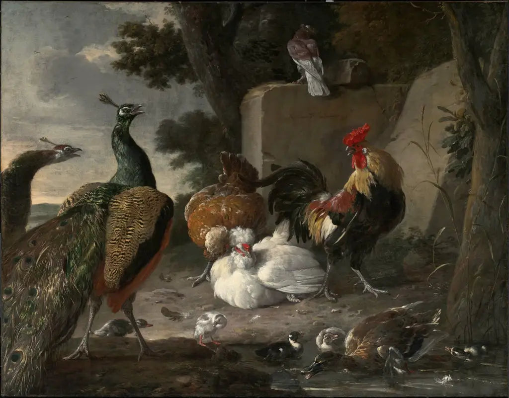 Des paons en compagnie de la volaille d'une basse-cour - Melchior de Hondecoeter image 1 copie peinte à la main à l’huile