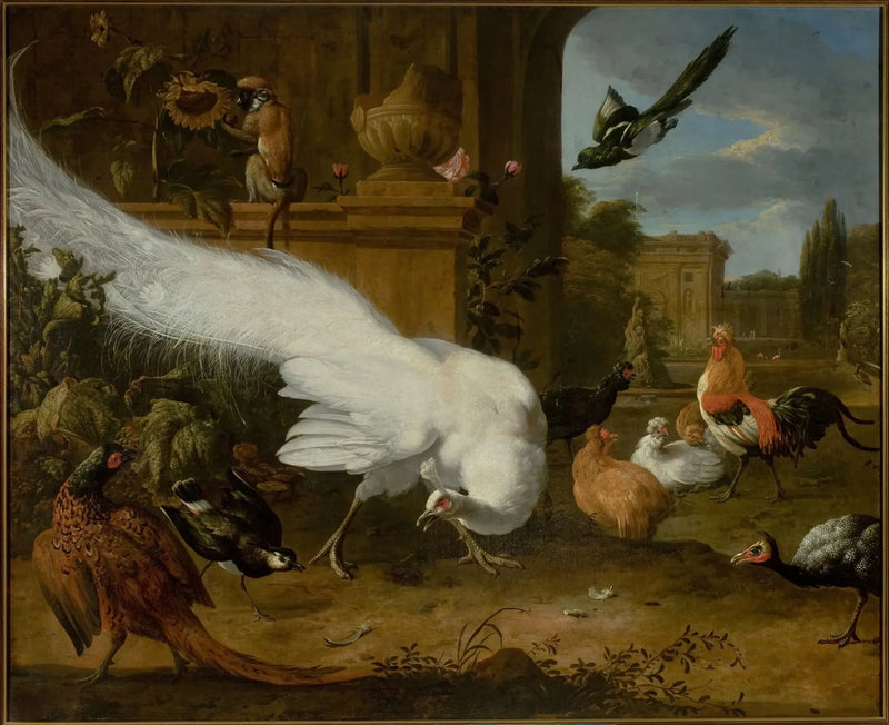 Uccelli e un pavone bianco - Melchior de Hondecoeter