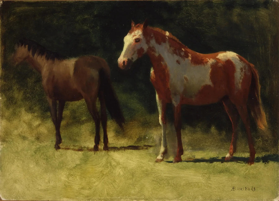 Due cavalli - Albert Bierstadt