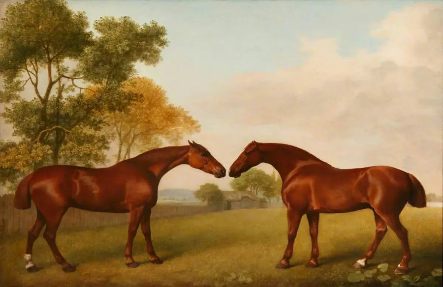 Due cavalli in un recinto - George Stubbs