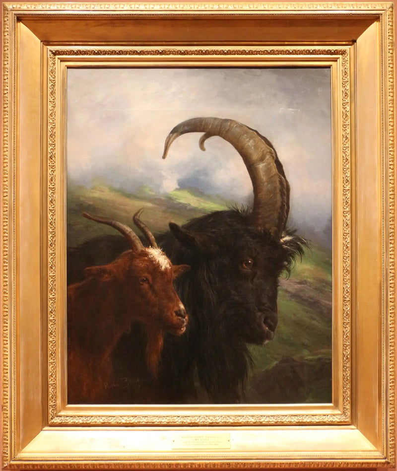 Due capre - Rosa Bonheur