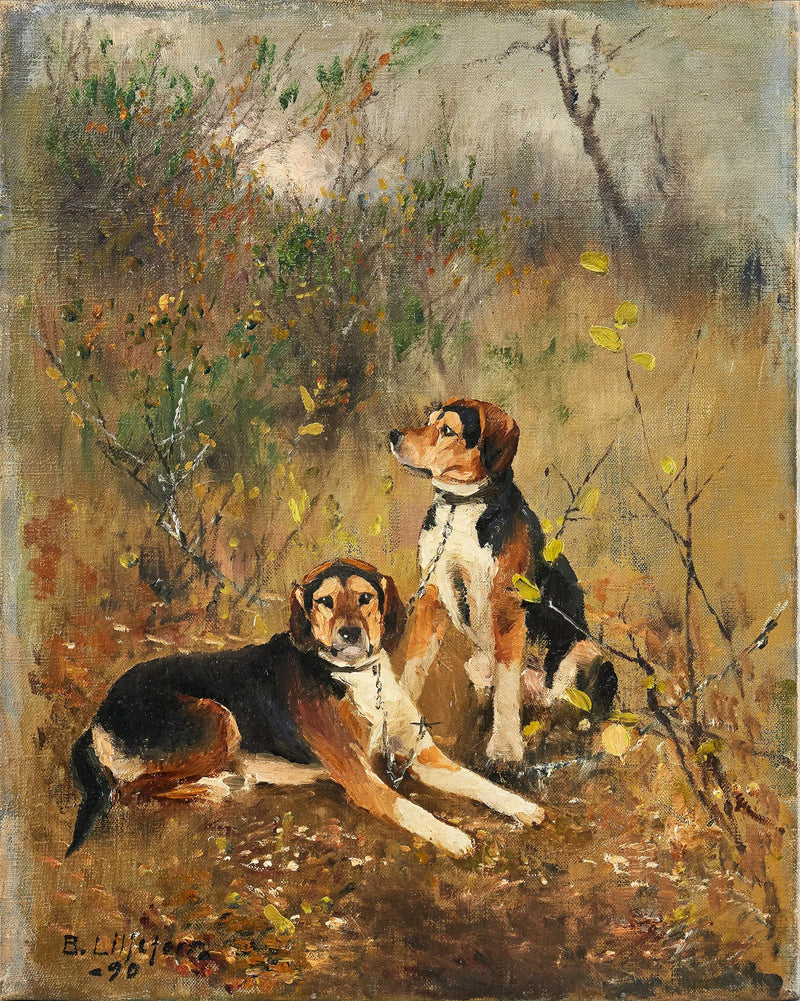 Due cani da caccia – a olfatto – Bruno Liljefors