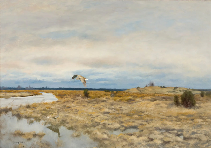 Due chiurli in un paesaggio di torba - Bruno Liljefors