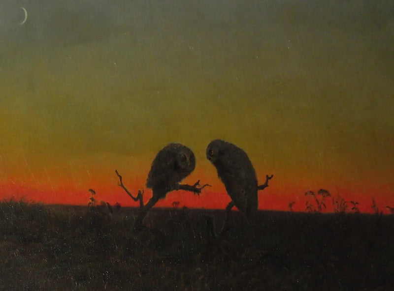 Due gufi al tramonto - Martin Johnson Heade