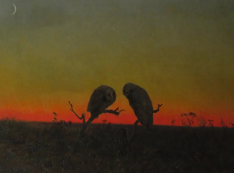 Due gufi al tramonto - Martin Johnson Heade