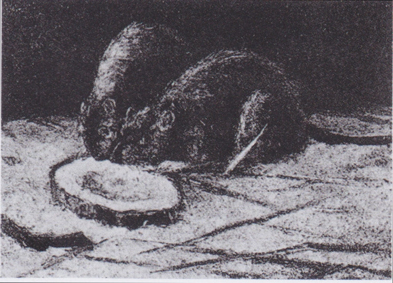 Due topi - Vincent van Gogh
