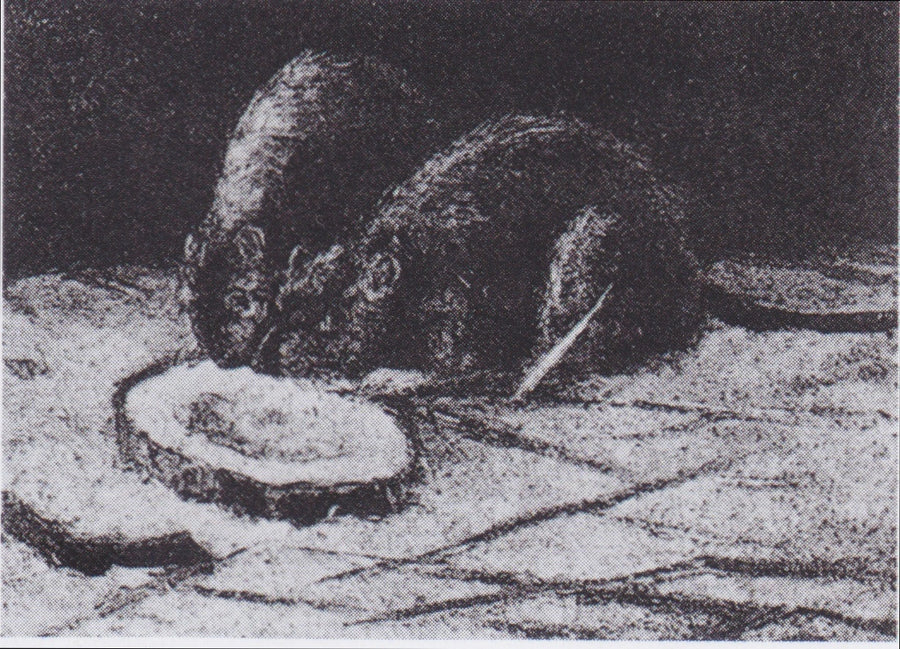 Due topi - Vincent van Gogh