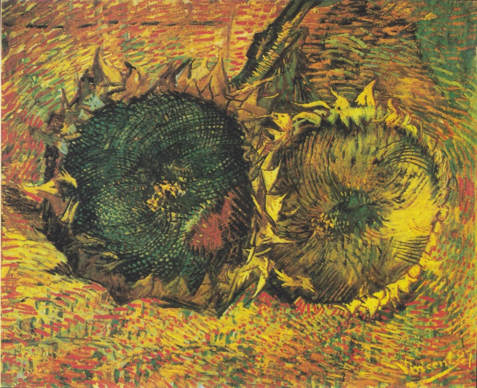 Deux Tournesols coupés F376 de Vincent van Gogh, Kunstmuseum Bern