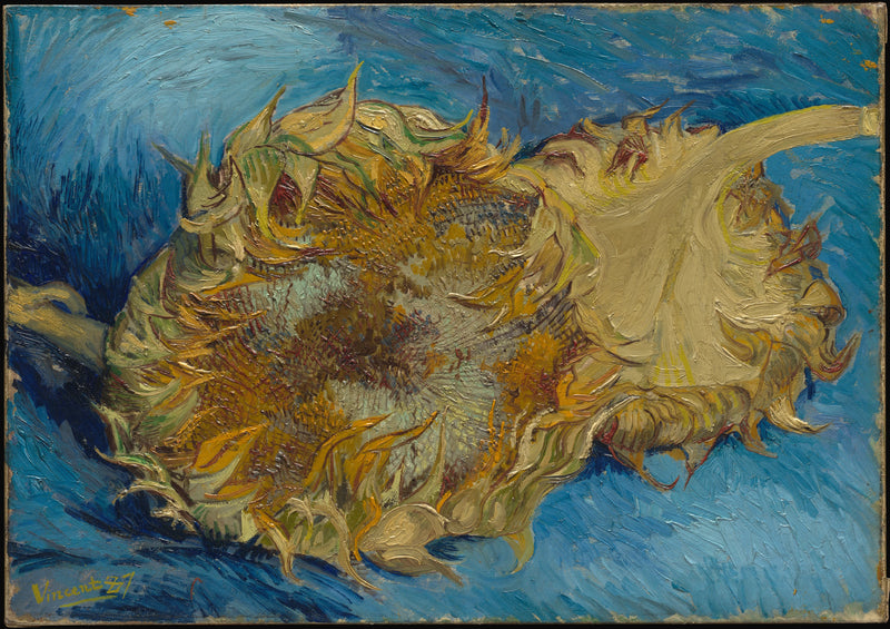 Due Girasoli - Vincent van Gogh