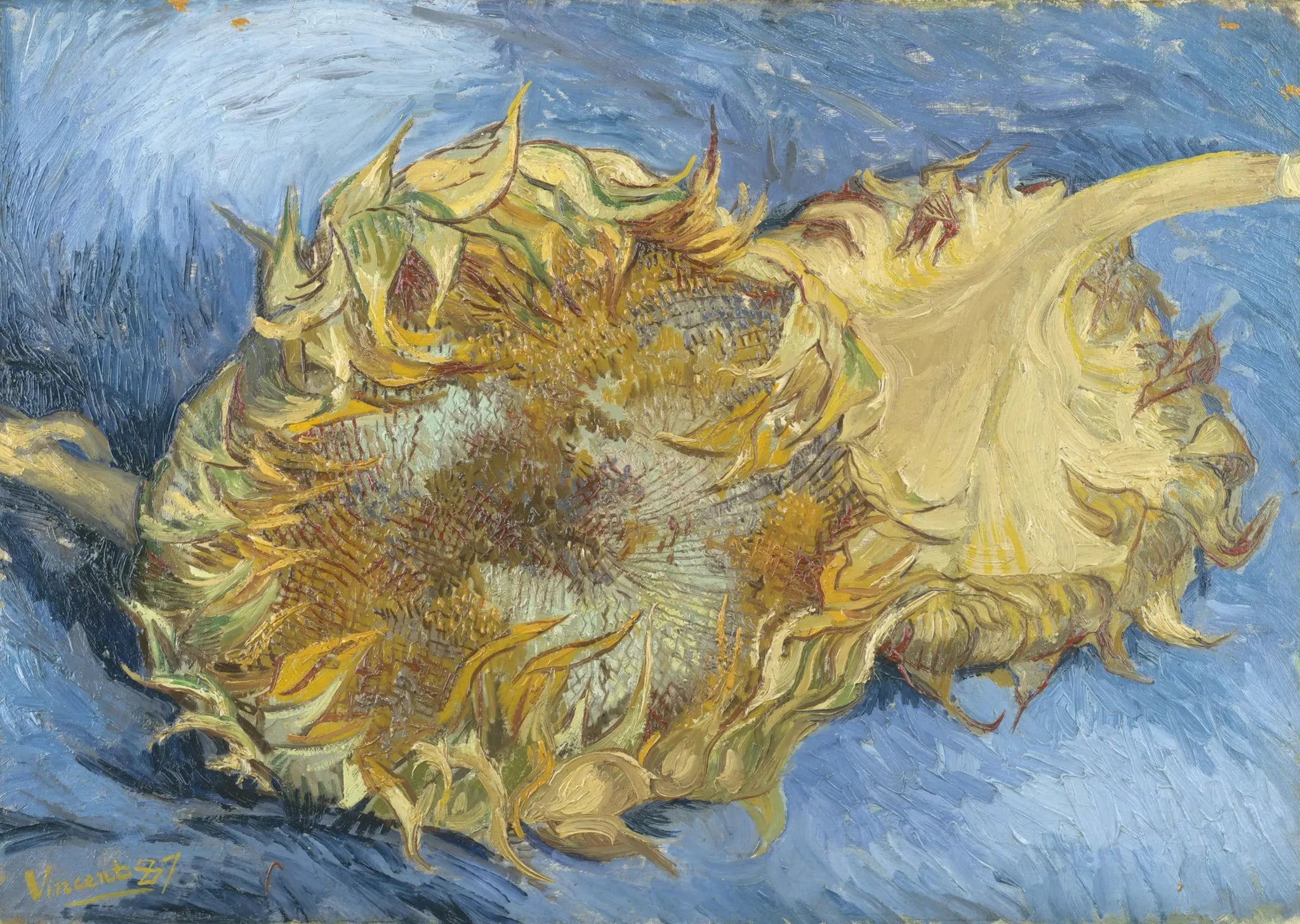 Deux Tournesols - Vincent van Gogh image 1 copie de tableau peinte à la main