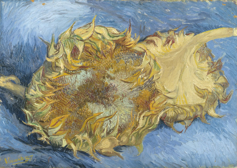 Due Girasoli - Vincent van Gogh