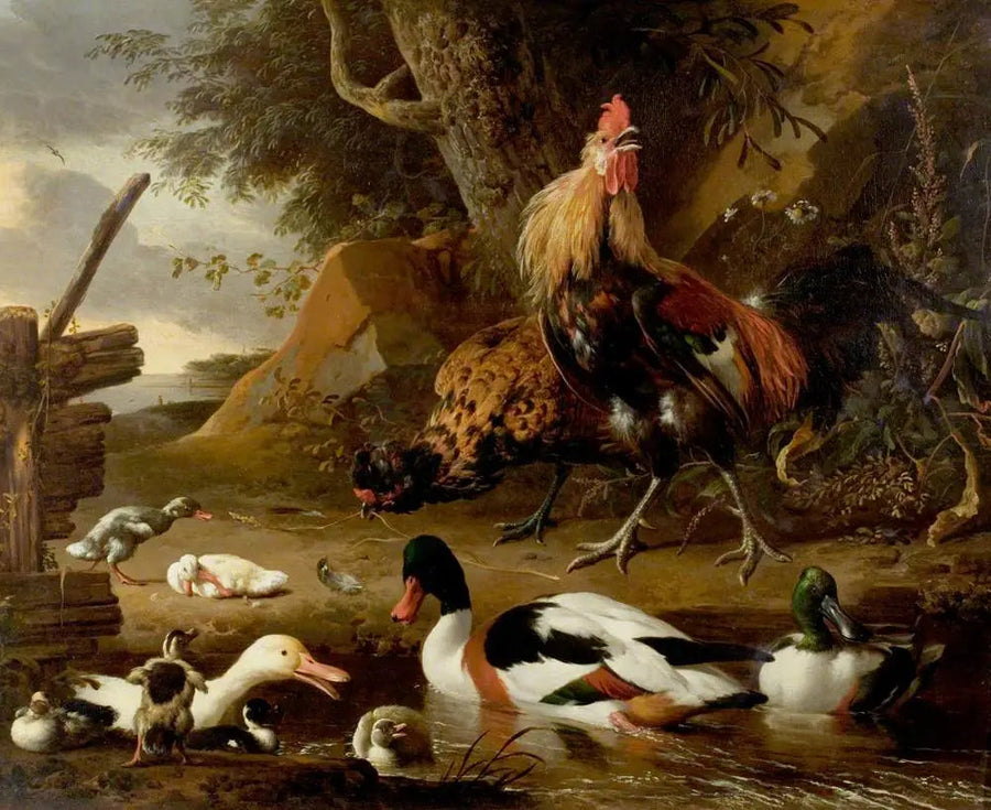 Due pollame e anatre su uno stagno - Melchior de Hondecoeter