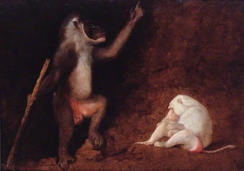 Drill e babbuino albino - George Stubbs