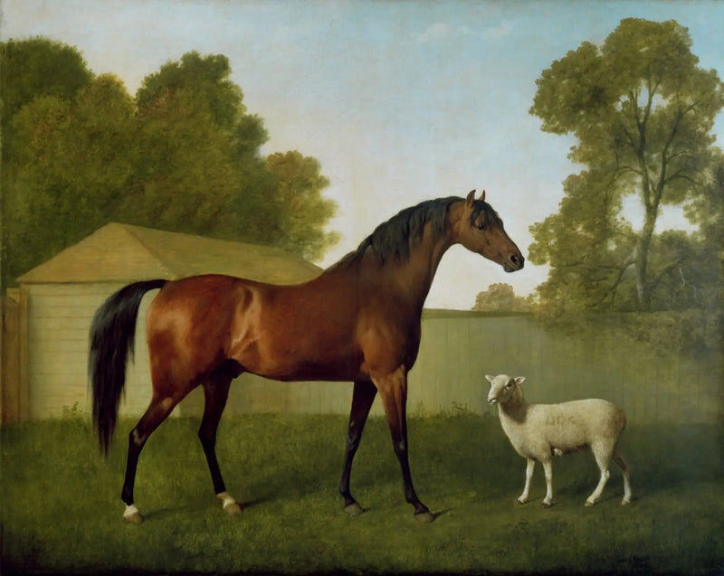Dungannon, proprietà del colonnello O'Kelly, dipinto in un paddock con una pecora - George Stubbs