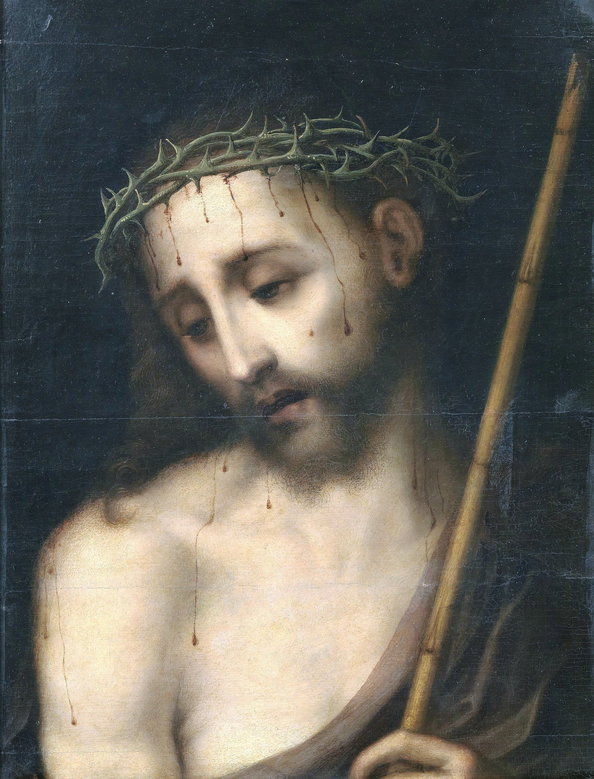 Q59979879 - Luis de Morales - Alpha Reproduction
