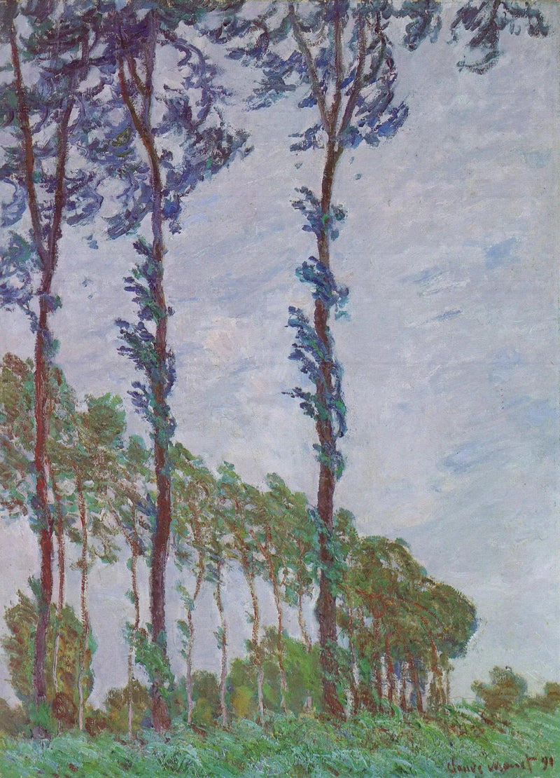 Effetto vento, serie dei pioppi - Claude Monet