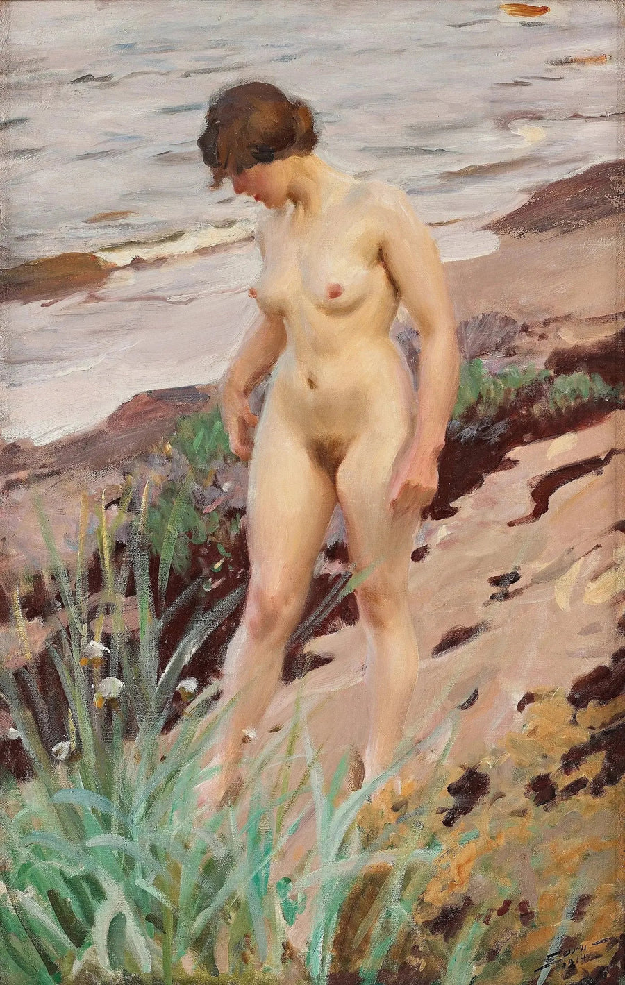 Effetto Sandhamn - Anders Zorn