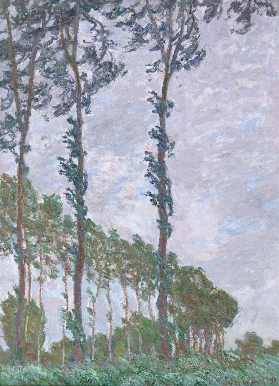 Effetto vento, Pioppi serie W1302 - Claude Monet