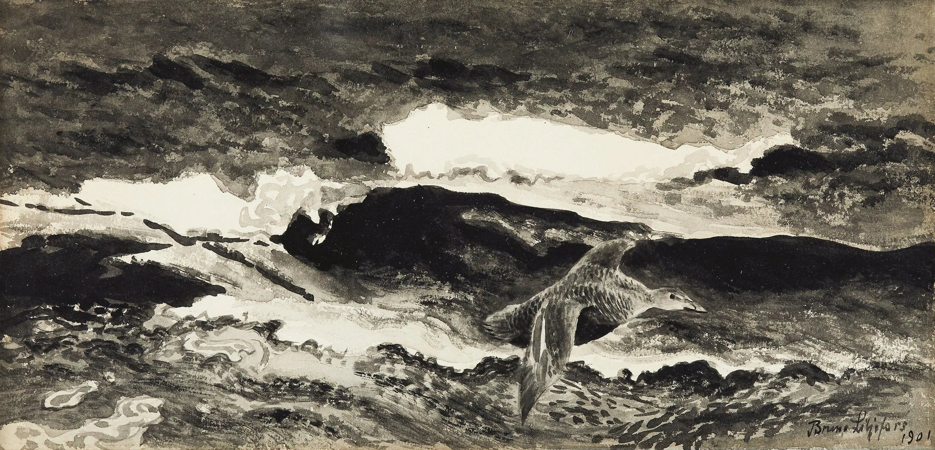 eider femelle s'étirant - Bruno Liljefors image 1 copie de tableau peinte à la main