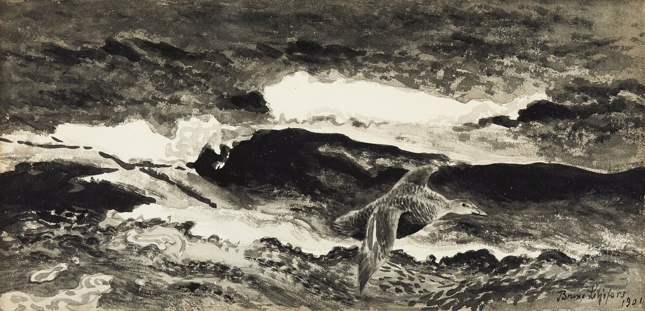 eider femelle s'étirant - Bruno Liljefors image 1 copie de tableau peinte à la main