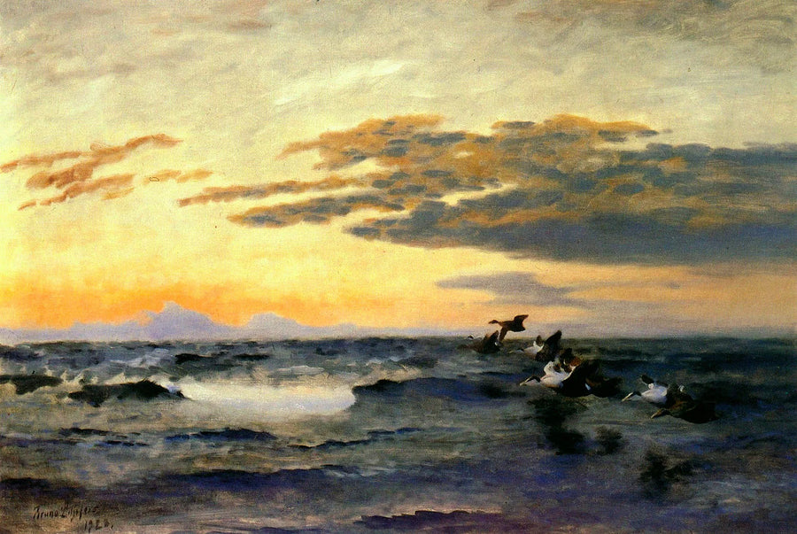 Edredoni all'alba - Bruno Liljefors