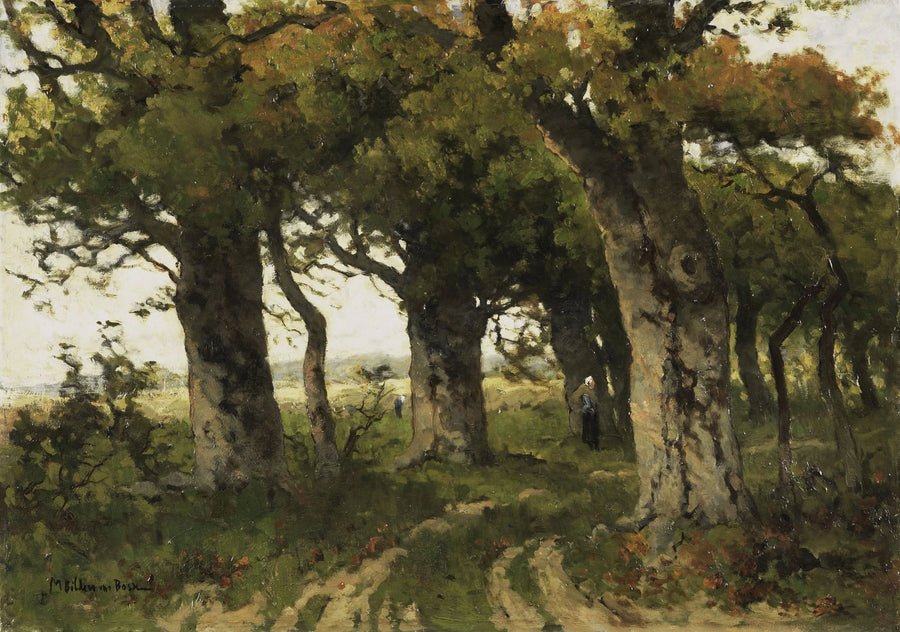 Eikenlaan à la fin de l'été. - Maria Philippina Bilders-van Bosse