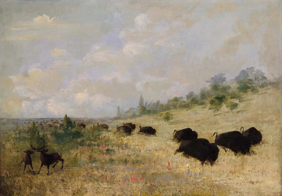 Élans e bisonti brucando tra i fiori delle praterie, Texas - George Catlin