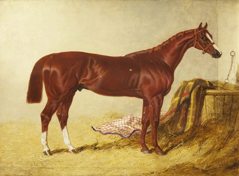 Elis, vincitore del St Leger Stakes, 1836, dans un box détaché - John Frederick Herring, Sr.