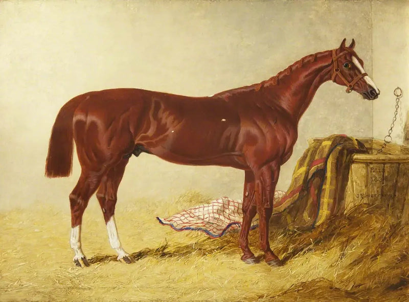 Elis, vincitore del St Leger Stakes, 1836, dans un box détaché - John Frederick Herring, Sr.
