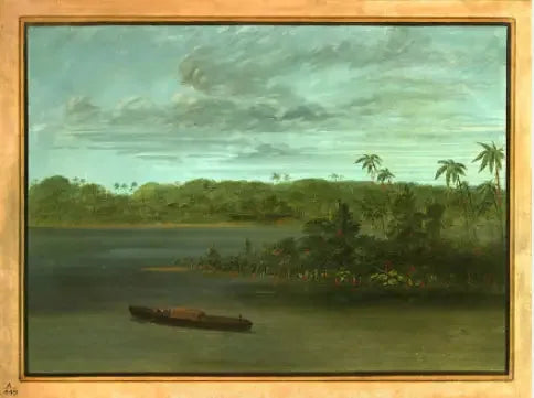Embouchure del Rio Purus - George Catlin