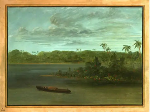 Embouchure du Rio Purus - George Catlin - Alpha Reproduction