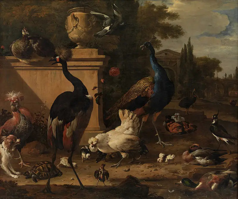 Gabbia per galline in una villa - Melchior de Hondecoeter