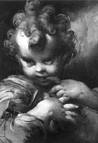 Bambino San Giovanni - Parmigianino