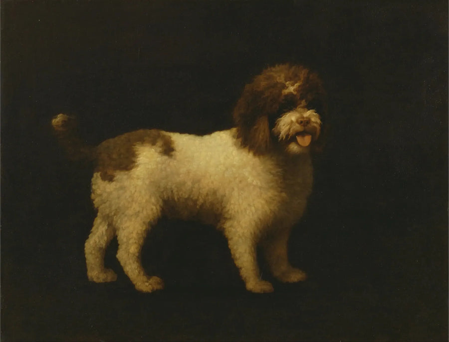 Epagneul d'acqua - George Stubbs