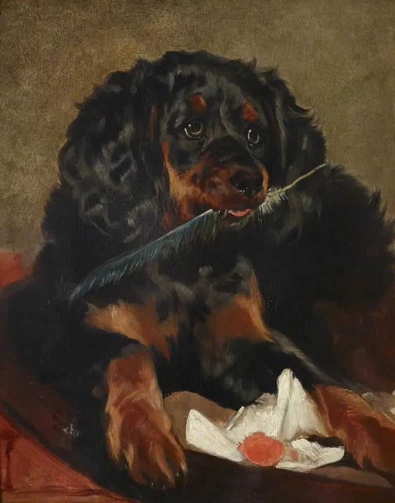 Epagneul della regina Vittoria « Tilco » (decesso nel 1850) - Edwin Henry Landseer