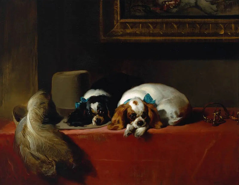 Epagneuls King Charles (« Gli animali domestici del cavaliere ») - Edwin Henry Landseer