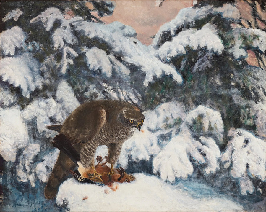 Falco con la sua preda - Bruno Liljefors