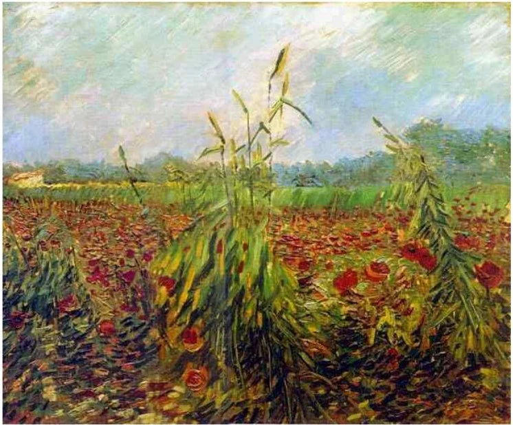 Spighe di grano verdi - Vincent van Gogh