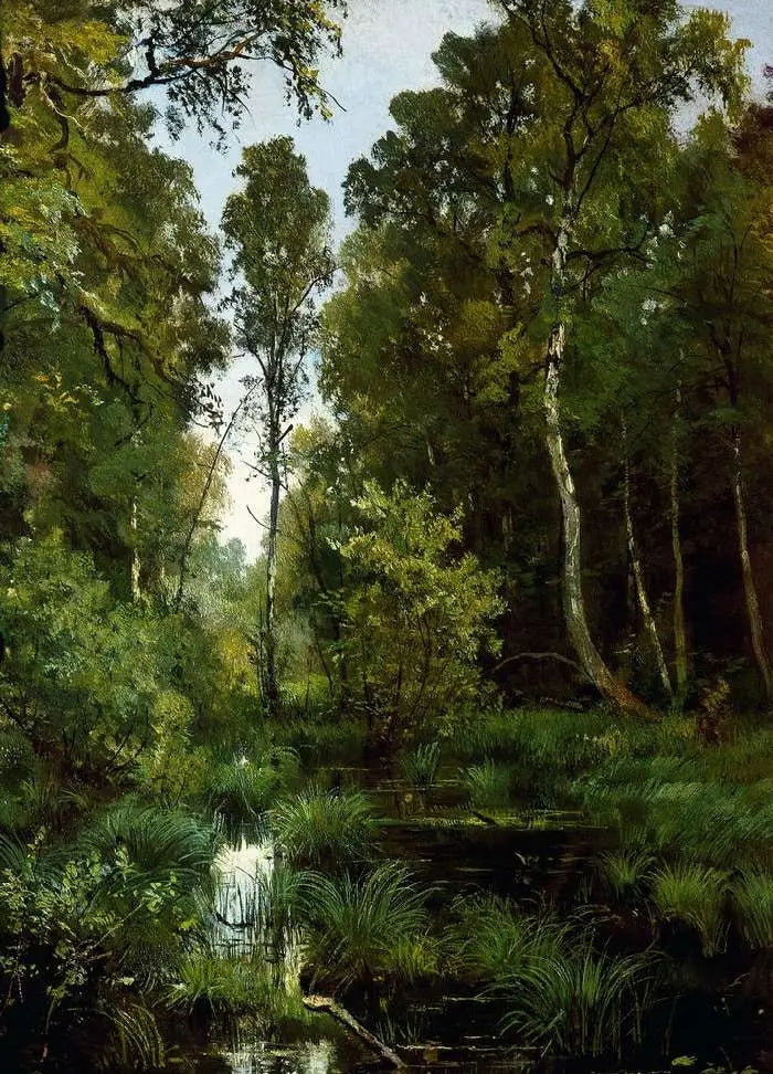Étang invaso dalla vegetazione all'inizio della foresta. Siverskaya - Ivan Chichkine