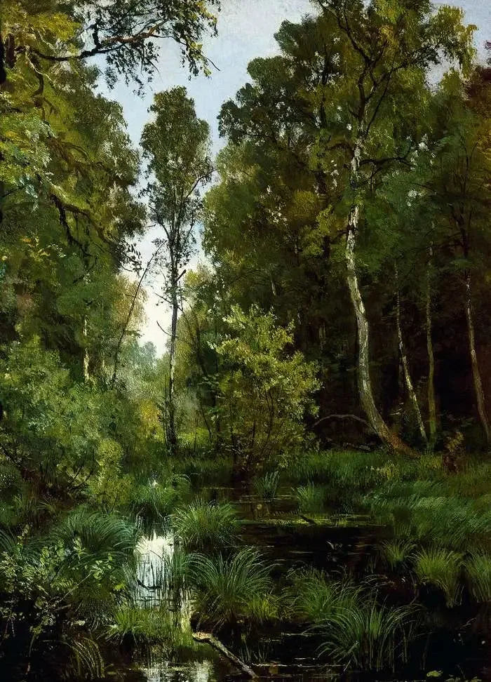 Étang invaso dalla vegetazione all'inizio della foresta. Siverskaya - Ivan Chichkine