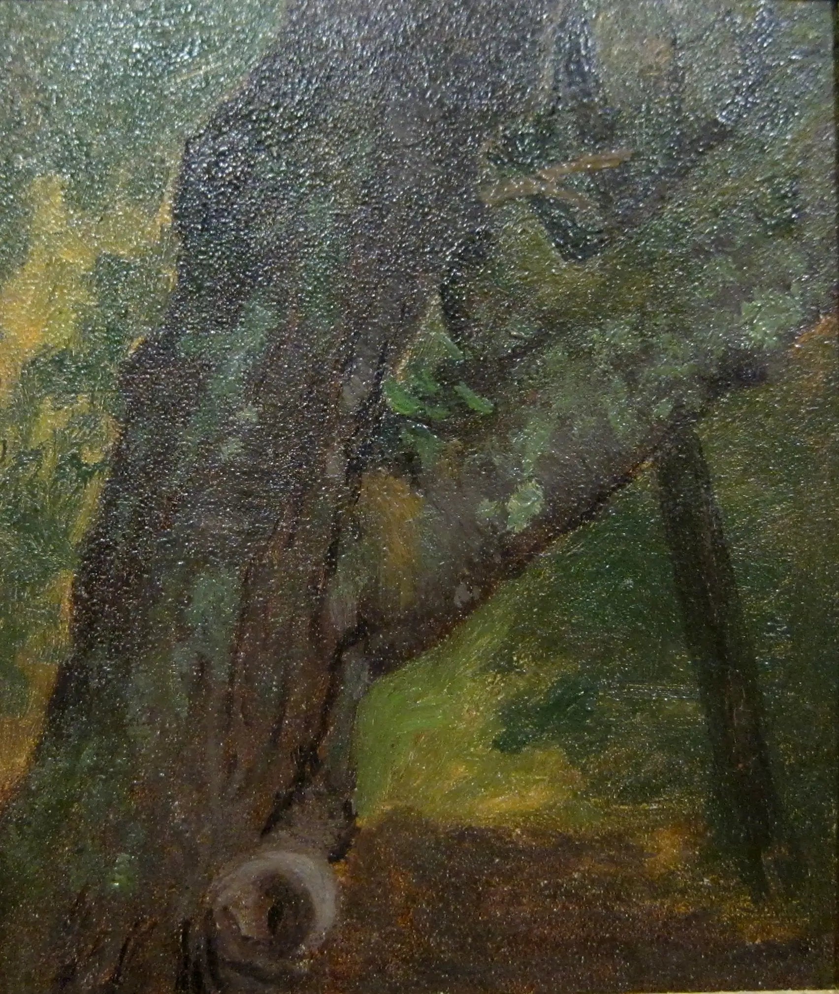 Étude d’un arbre - Albert Bierstadt - Alpha Reproduction